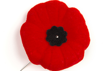 Poppies