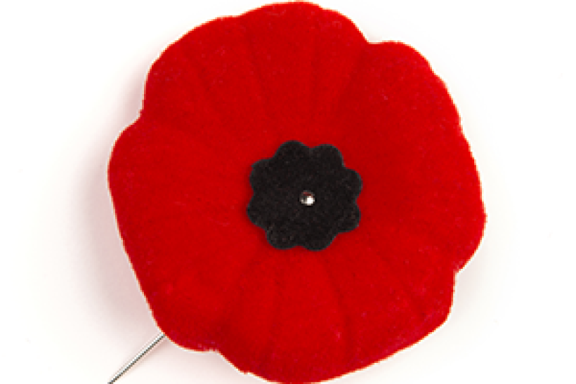 Poppies