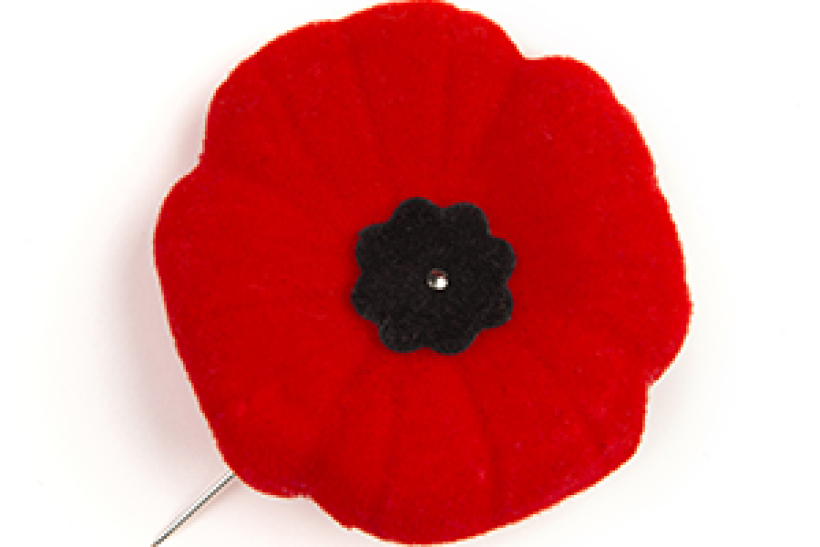 poppy